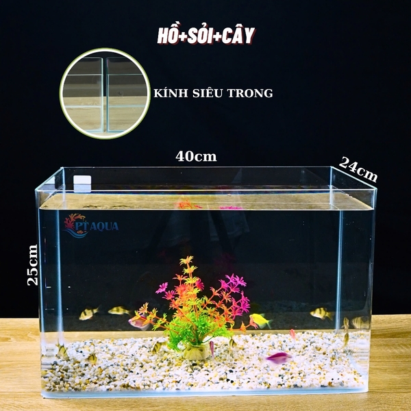 Bể Cá Mini Để Bàn ĐÚC SIÊU TRONG 40x24x25cm Phù Hợp Nuôi Cá , Làm Hồ Thuỷ Sinh Mini