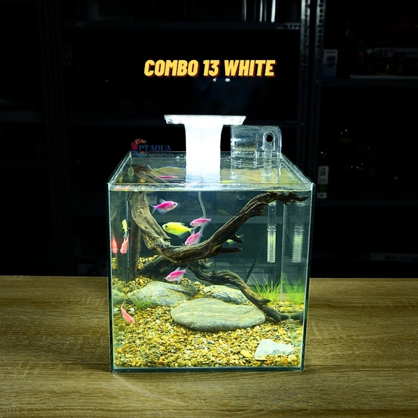 Bể cá mini CUBIC 25cm để bàn