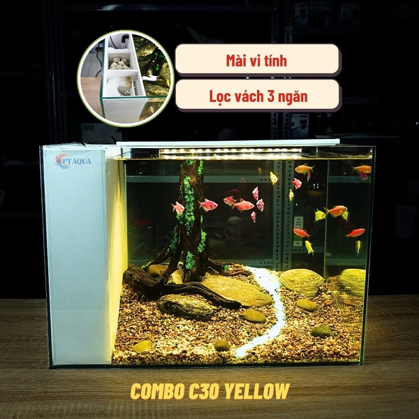 Bể Cá Mini Lọc Vách Kích Thước 50x33x35cm Để Bàn Đầy Đủ Phụ Kiện Có Sẵn Bơm và Vật Liệu Lọc