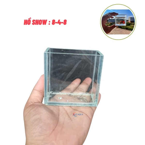 Hồ cá mini Show Cá Siêu MiNi Kích Thước 8x4x8cm Dành show cá 7 màu , betta
