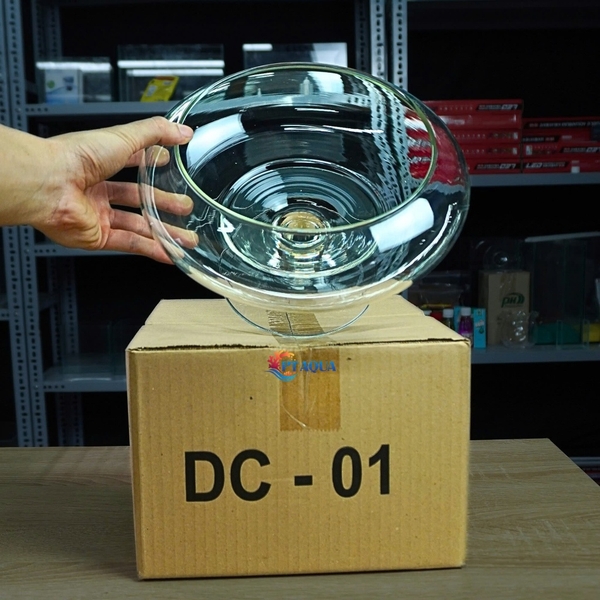 Bể Cá Mini, Chậu Thuỷ Tinh DC phù hợp làm tiểu cảnh trang trí hoặc nuôi cá cảnh mini để bàn