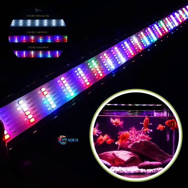 Đèn Led Bể Cá 80cm - 1m1 Dành Cho Hồ Cá Hồ Thủy Sinh 6 Dãy Led Có Ánh Sáng Trắng và Đổi Màu
