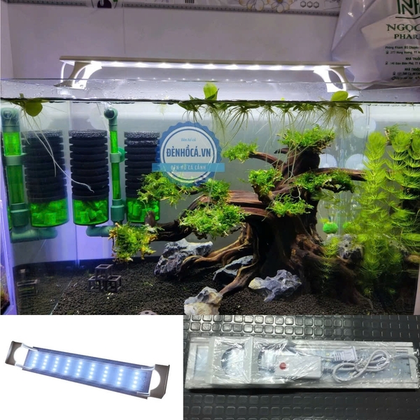 Đèn led bể cá , đèn led thủy sinh bể cá