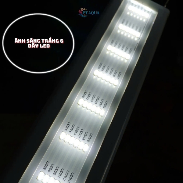 Đèn hồ cá ÁNH SÁNG TRẮNG siêu sáng kẹp thành hồ cá cảnh