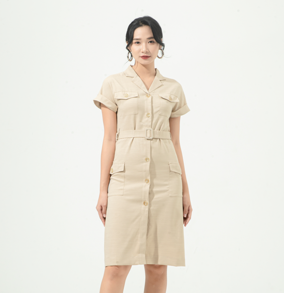 Đầm Dài Công Sở Nữ Faslink FV6