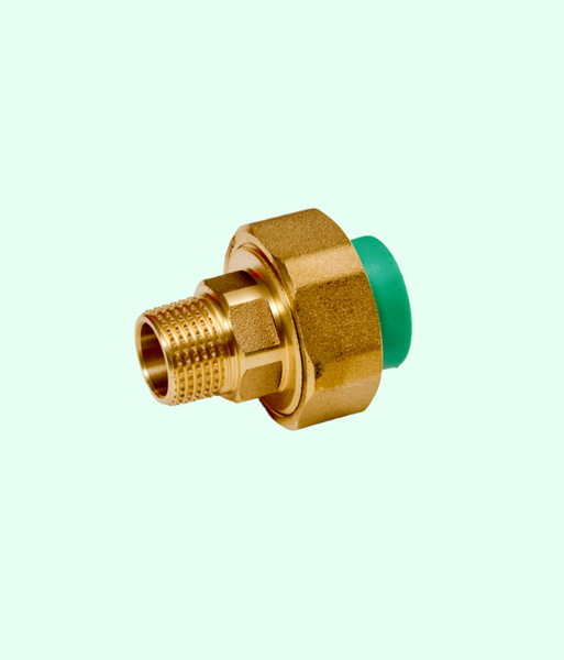 rac-co-ren-ngoai-ppr