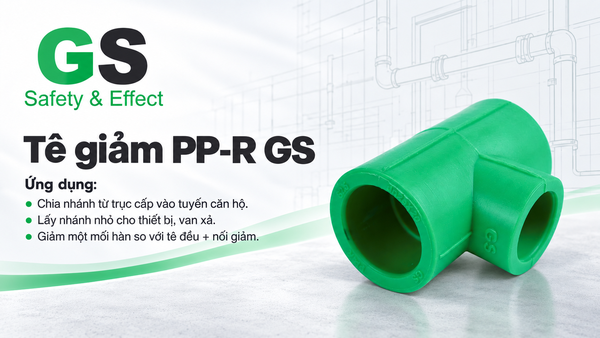 te-giam-pp-r-gs