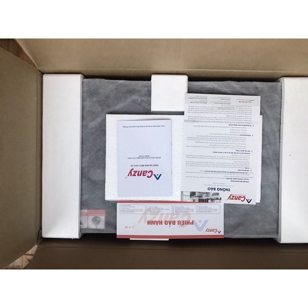 Bếp từ đôi Canzy CZ 6699Plus