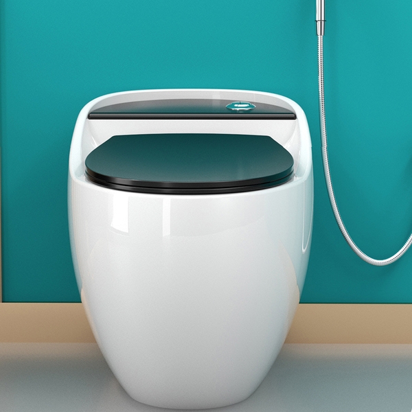 Bồn cầu trứng, bệt vệ sinh F-T06