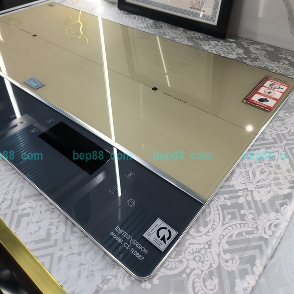 Bếp từ đôi Canzy CZ TL0788