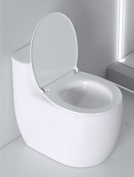 Bồn cầu 1 khối, bệt vệ sinh CR6664