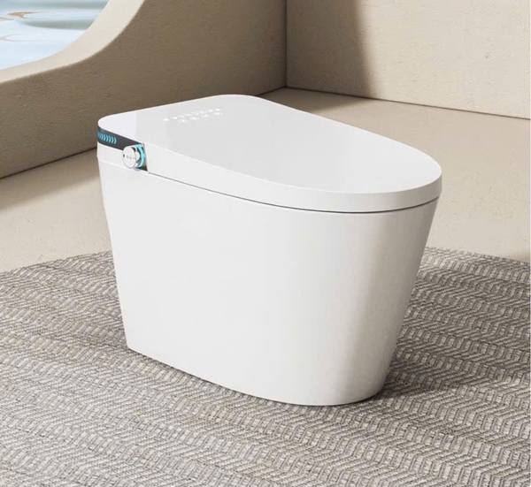 Bồn cầu thông minh CR 6941