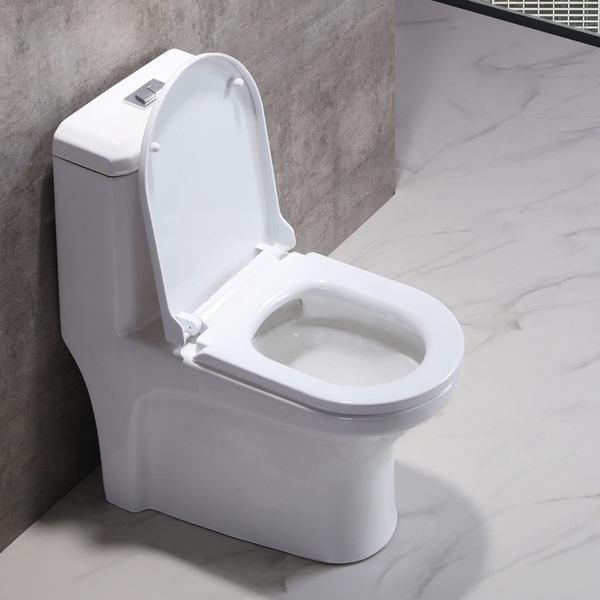 Bồn cầu 1 khối, bệt vệ sinh F-020