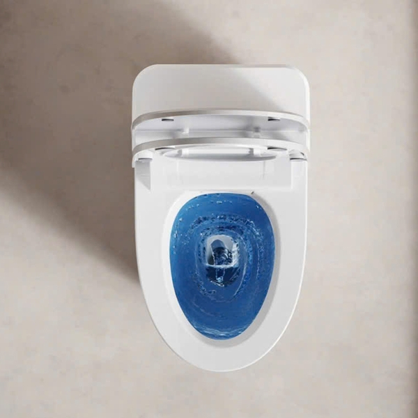 Bồn cầu bán thông minh CR 6808