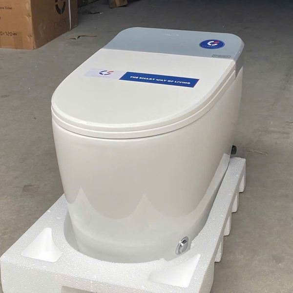 Bồn cầu bán thông minh CR 6808