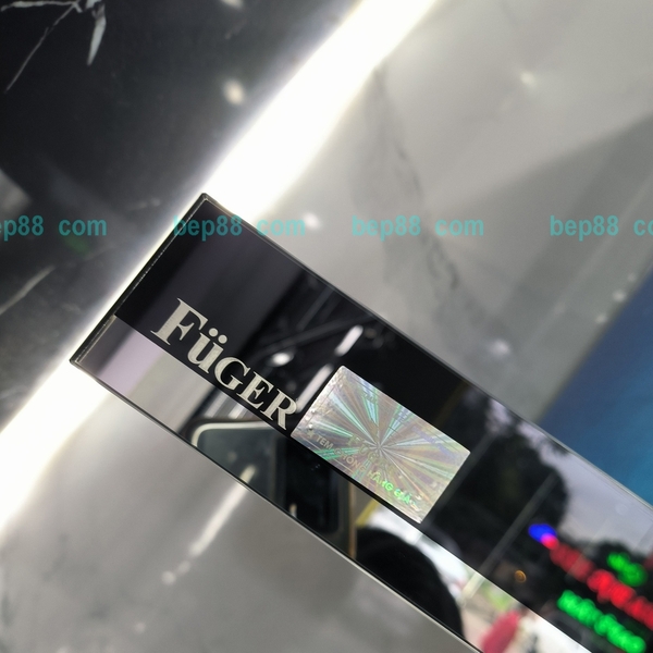 Máy hút mùi Fuger VT70