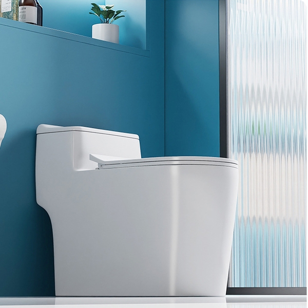 Bồn cầu 1 khối, bệt vệ sinh F-065