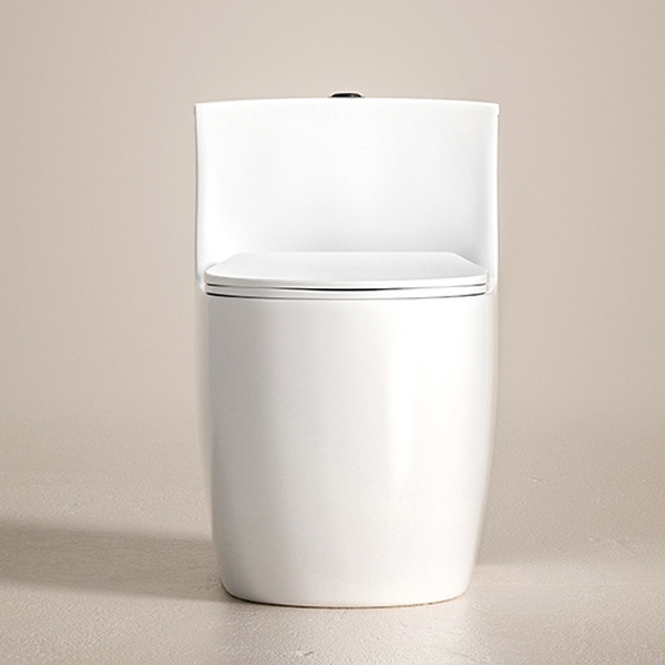 Bồn cầu 1 khối, bệt vệ sinh CR6663