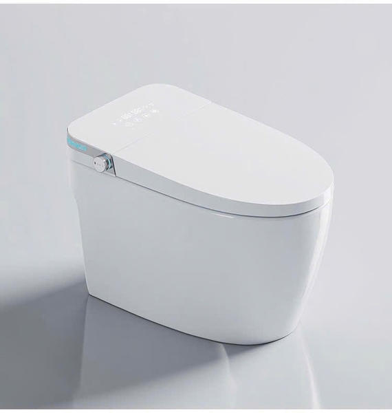 Bồn cầu thông minh CR 6941