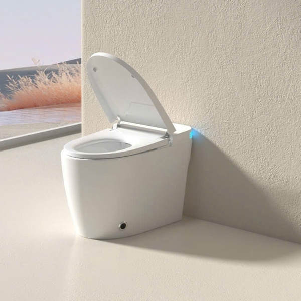 Bồn cầu thông minh CR 6942