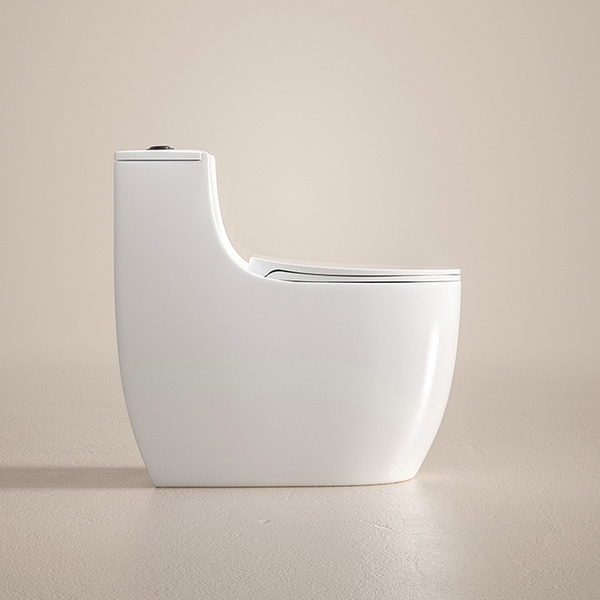 Bồn cầu 1 khối, bệt vệ sinh CR6663