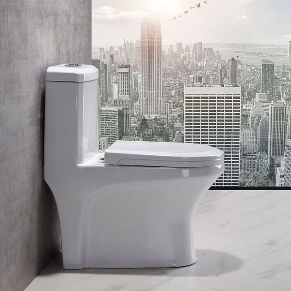 Bồn cầu 1 khối, bệt vệ sinh F-020