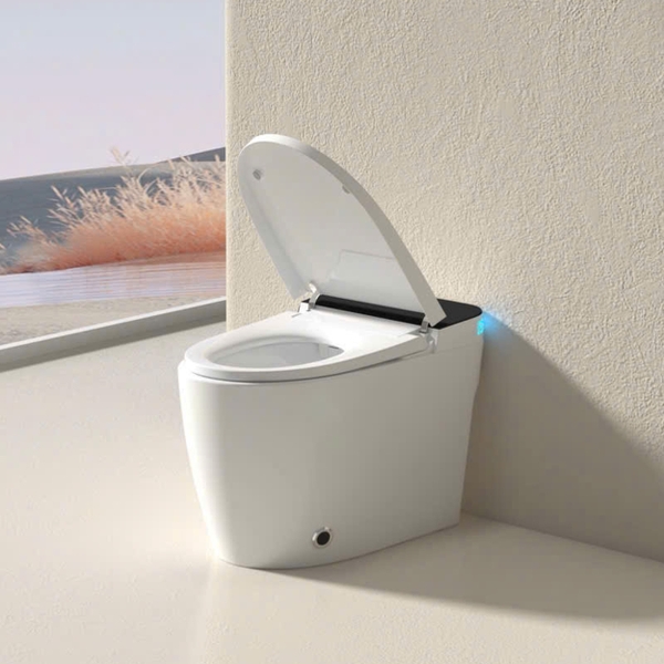 Bồn cầu thông minh CR 6942