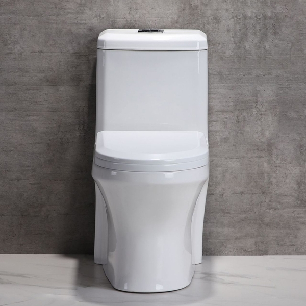 Bồn cầu 1 khối, bệt vệ sinh F-020