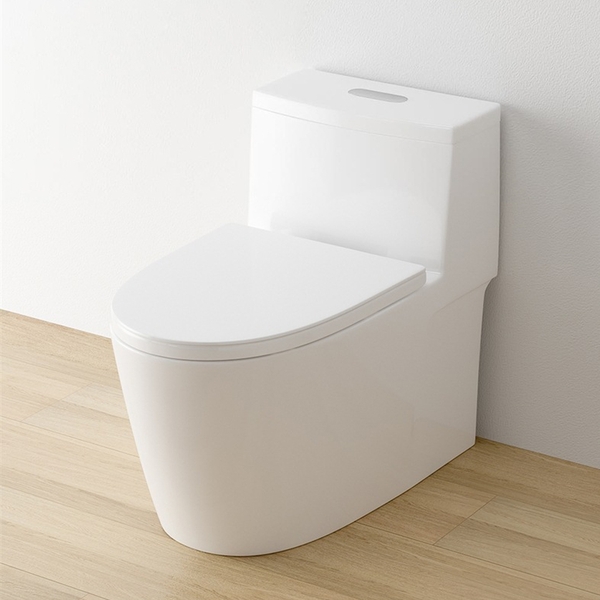 Bồn cầu 1 khối, bệt vệ sinh CR884