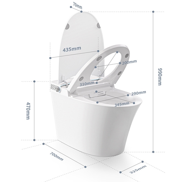 Bồn cầu thông minh CR 6945