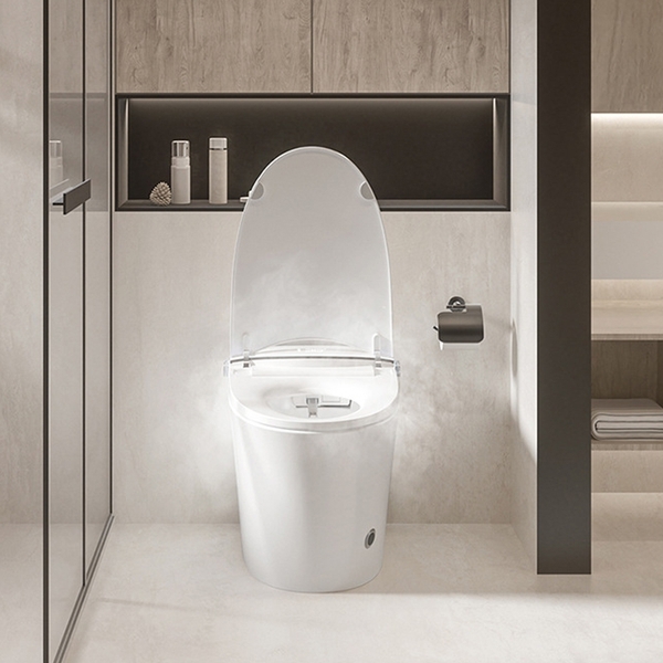 Bồn cầu thông minh CR 6945