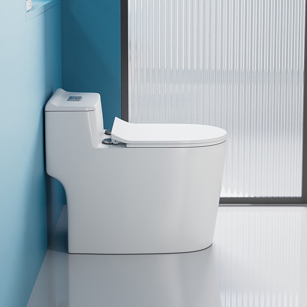 Bồn cầu 1 khối, bệt vệ sinh F-065