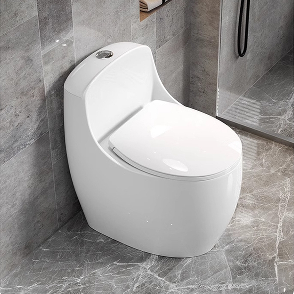 Bồn cầu 1 khối, bệt vệ sinh CR6666