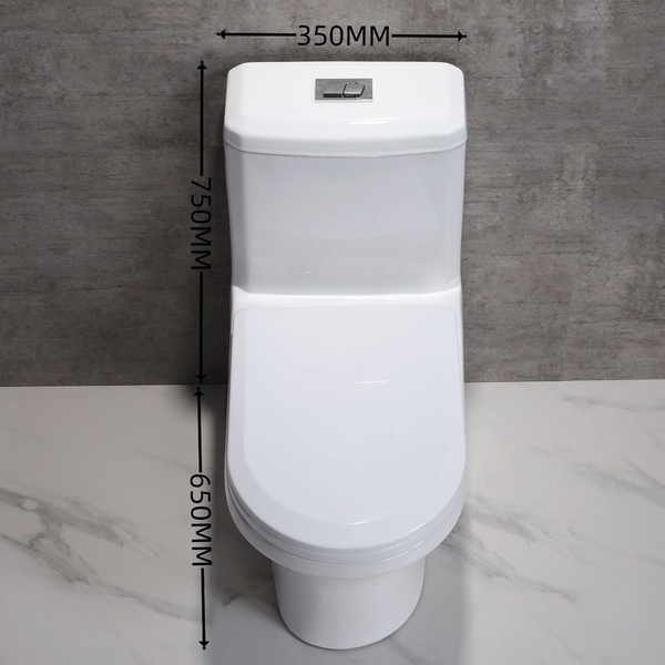 Bồn cầu 1 khối, bệt vệ sinh F-020