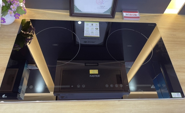 Bếp từ Đôi Faster FS 389I