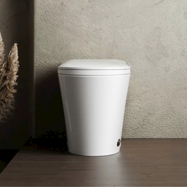 Bồn cầu bán thông minh CR 6809