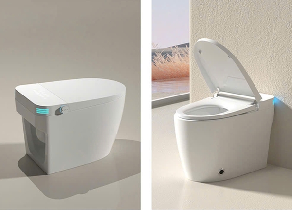 Bồn cầu thông minh CR 6942