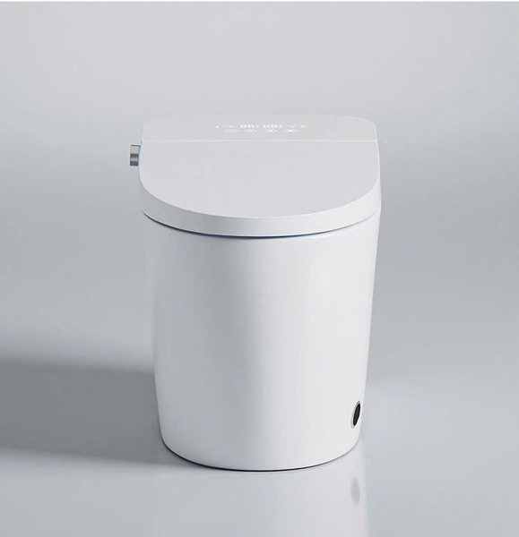 Bồn cầu thông minh CR 6941