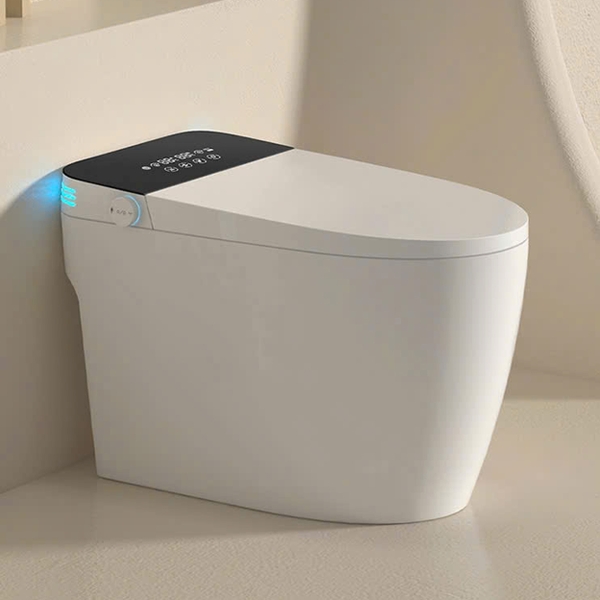 Bồn cầu thông minh CR 6942