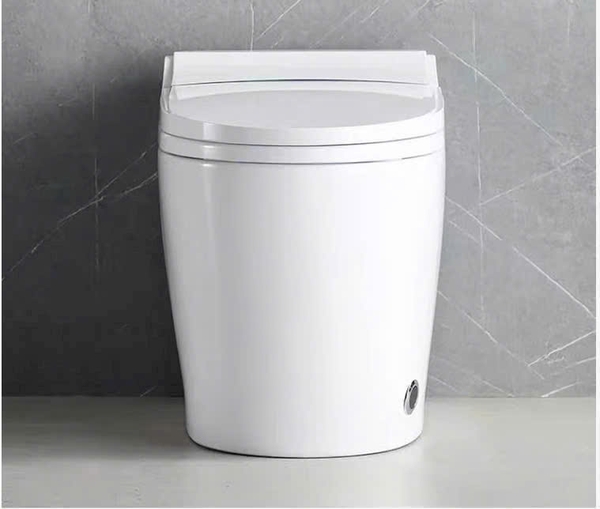 Bồn cầu thông minh CR 6903