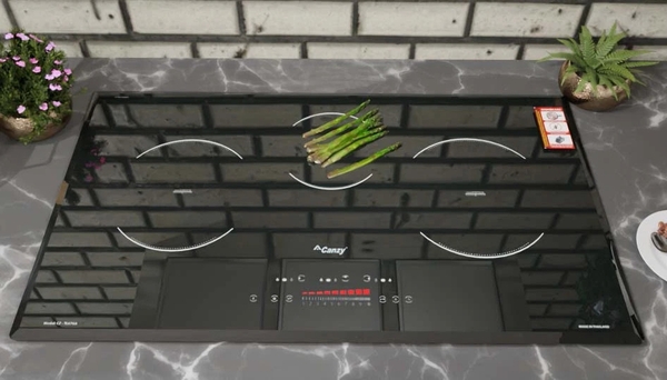 Bếp từ đôi Canzy CZ TL67GA