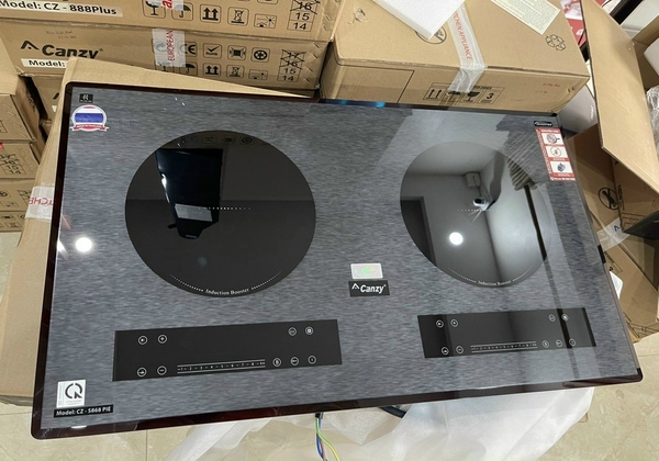 Bếp từ đôi Canzy CZ S868 PIE