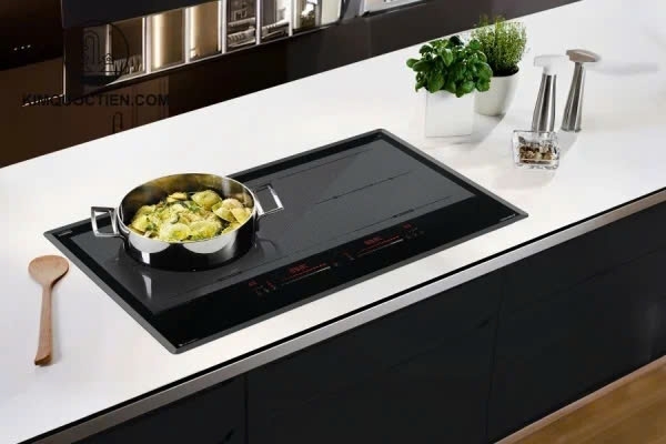 Bếp từ GrandX GX IH858 pro