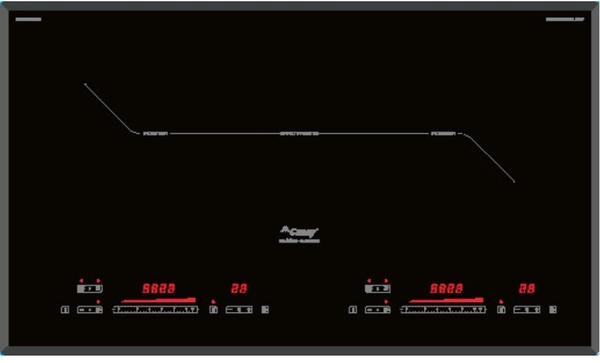 Bếp Từ Canzy CZ TL1022pro