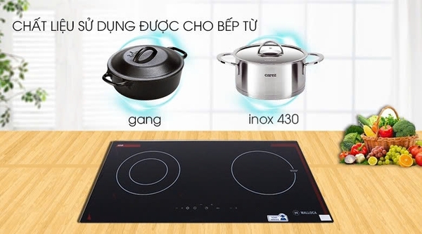 Bếp từ MALLOCA MH-02IR