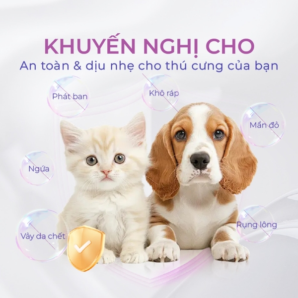 Dung dịch chăm sóc da cho chó mèo DrVet chai 75 ml