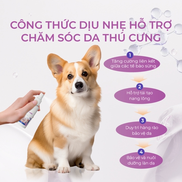 Dung dịch chăm sóc da cho chó mèo DrVet chai 75 ml
