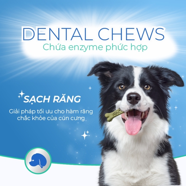 Kẹo Nhai Vệ Sinh Răng Miệng Cho Chó DrVet - Dental Chew 100g