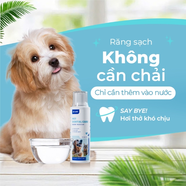 Dung dịch vệ sinh răng miệng cho chó mèo DrVet chai 250 ml