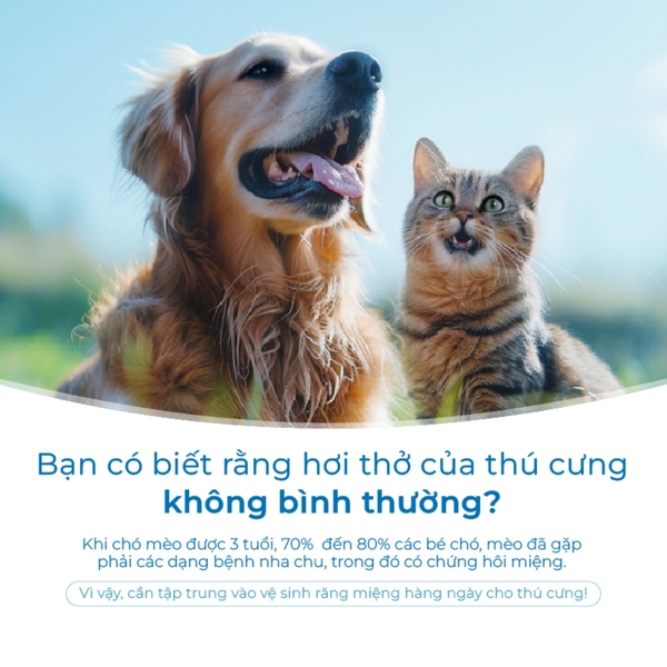 Dung dịch vệ sinh răng miệng cho chó mèo DrVet chai 250 ml